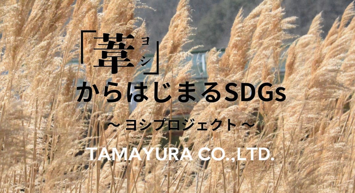 葦」からはじまるSDGs ～ヨシプロジェクト～ | NEWS | 株式会社